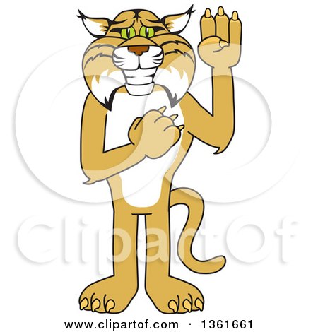 Clipart of a Bobcat School Mascot Character Pledging, Symbolizing Integrity - Royalty Free Vector Illustration by Toons4Biz