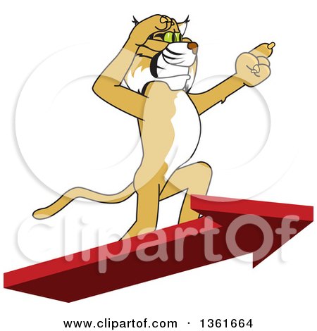 Clipart of a Bobcat School Mascot Character Standing on an Arrow and Pointing, Symbolizing Leadership - Royalty Free Vector Illustration by Mascot Junction