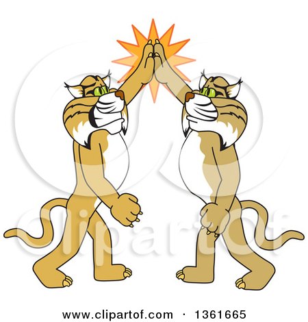 Clipart of Bobcat School Mascot Characters High Fiving, Symbolizing Pride - Royalty Free Vector Illustration by Mascot Junction
