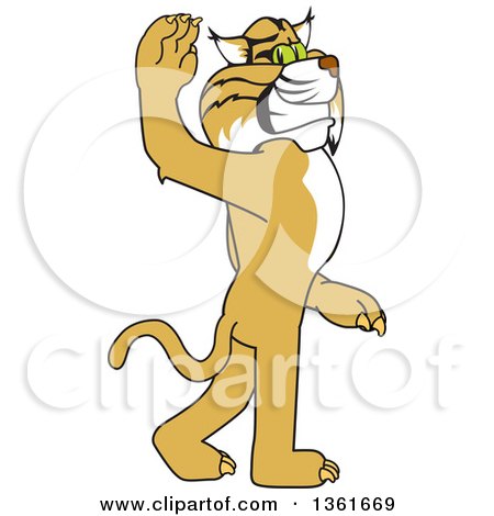 Clipart of a Bobcat School Mascot Character Walking and Waving, Symbolizing Leadership - Royalty Free Vector Illustration by Toons4Biz