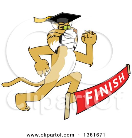Clipart of a Determined Bobcat School Mascot Character Graduate Running to a Finish Line - Royalty Free Vector Illustration by Mascot Junction
