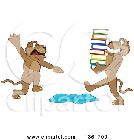 Clipart of a Cougar School Mascot Character Warning Another That Is Carrying Books About a Puddle, Symbolizing Being Proactive - Royalty Free Vector Illustration by Mascot Junction