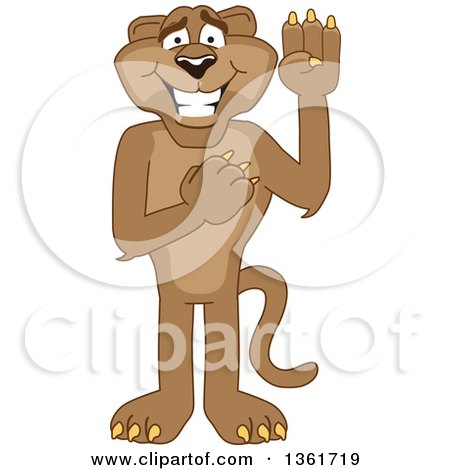 Clipart of a Cougar School Mascot Character Pledging, Symbolizing Integrity - Royalty Free Vector Illustration by Mascot Junction