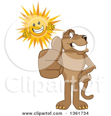 Clipart of a Cougar School Mascot Character and Sun Holding Thumbs Up, Symbolizing Excellence - Royalty Free Vector Illustration by Mascot Junction