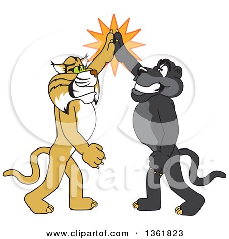 Clipart of Black Panther and Bobcat School Mascot Characters High Fiving, Symbolizing Teamwork and Sportsmanship - Royalty Free Vector Illustration by Mascot Junction