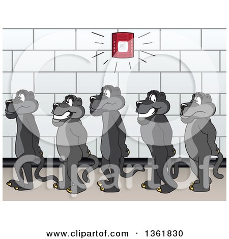 Clipart of Black Panther School Mascot Characters Standing in Line During a Fire Drill, Symbolizing Safety - Royalty Free Vector Illustration by Mascot Junction