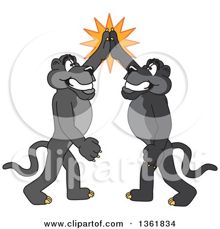 Clipart of Black Panther School Mascot Characters High Fiving, Symbolizing Pride - Royalty Free Vector Illustration by Mascot Junction