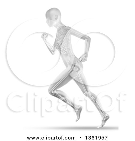 Clipart of a 3d Grayscale Anatomical Woman Running, with Visible Skeleton, on White - Royalty Free Illustration by KJ Pargeter