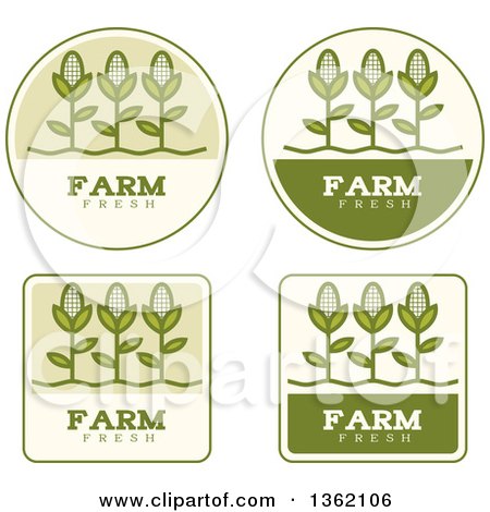 Clipart of Green Farm Fresh Corn Icons - Royalty Free Vector Illustration by Cory Thoman