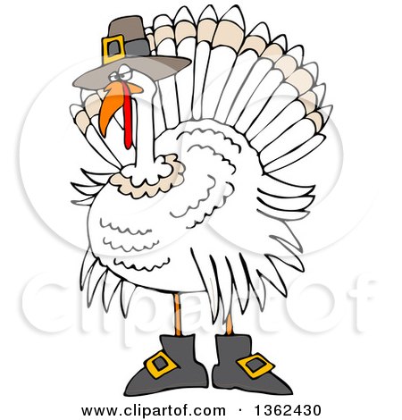 Clipart of a Cartoon White Thanksgiving Turkey Bird Wearing Boots and a Pilgrim Hat - Royalty Free Vector Illustration by djart