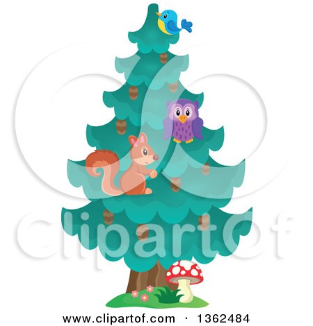 Clipart of a Squirrel, Owl and Bluebird in an Evergreen Tree - Royalty Free Vector Illustration by visekart