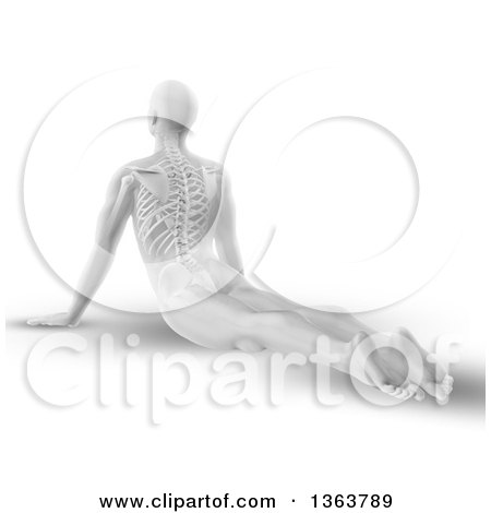 Clipart of a 3d Grayscale Anatomical Man Stretching on the Floor in a Yoga Pose, with Visible Spine, on White - Royalty Free Illustration by KJ Pargeter