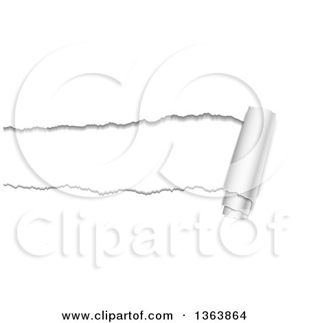 Clipart of a Background of Torn Curnling Paper Revealing White - Royalty Free Vector Illustration by vectorace