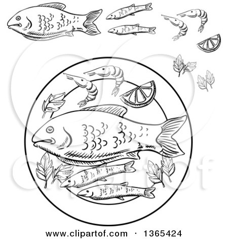 Clipart of Black and White Sketched Seafood Fish and Shrimp - Royalty Free Vector Illustration by Vector Tradition SM