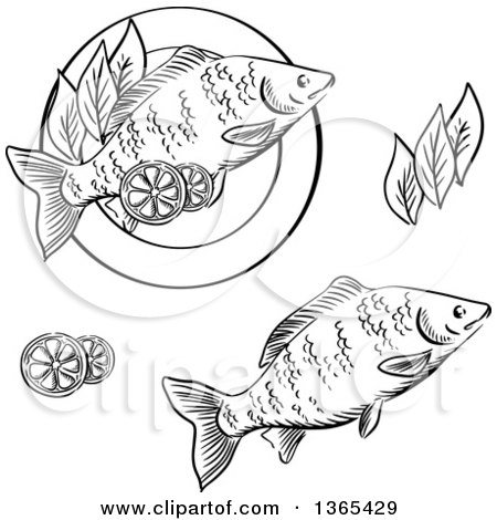 Clipart of Black and White Sketched Seafood Fish - Royalty Free Vector Illustration by Vector Tradition SM
