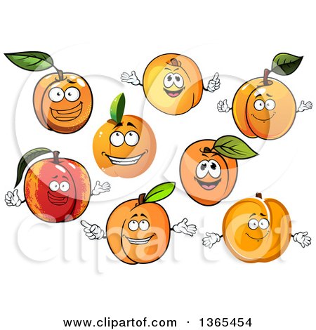 Clipart of Apricot Characters - Royalty Free Vector Illustration by Vector Tradition SM