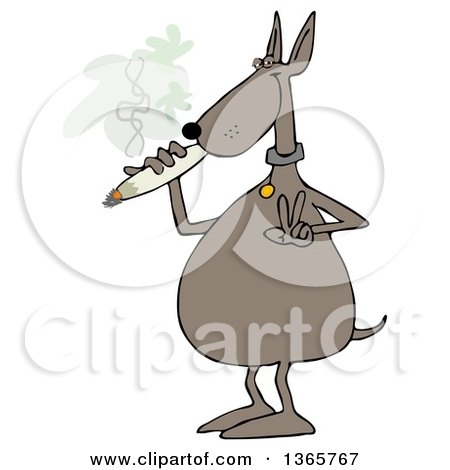 Clipart of a Cartoon High Dog Gesturing Peace and Smoking a Joint - Royalty Free Illustration by djart