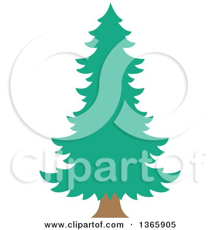 Clipart of a Conifer Evergreen Tree - Royalty Free Vector Illustration by visekart