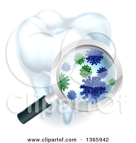 Clipart of a 3d Magnifying Glass Discovering Germs or Bacteria on a Tooth - Royalty Free Vector Illustration by AtStockIllustration