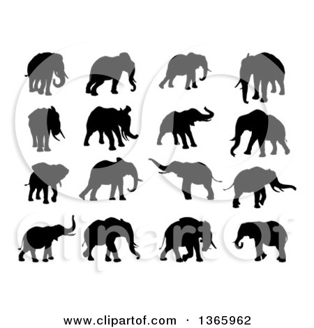 Clipart of Black Silhouetted Elephants - Royalty Free Vector Illustration by AtStockIllustration