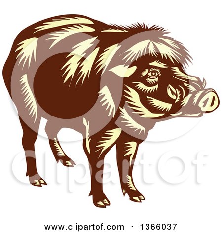 Clipart of a Retro Woodcut Brown and Yellow Philippine Warty Pig - Royalty Free Vector Illustration by patrimonio