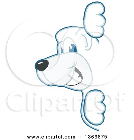 Clipart of a Polar Bear School Mascot Character Looking Around a Sign - Royalty Free Vector Illustration by Mascot Junction