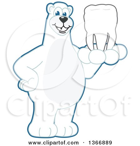 Clipart of a Polar Bear School Mascot Character Holding a Tooth - Royalty Free Vector Illustration by Mascot Junction