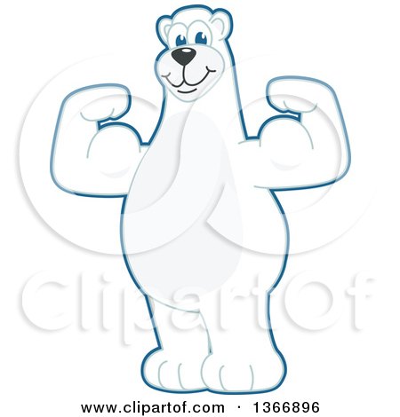 Clipart of a Polar Bear School Mascot Character Flexing His Arm Muscles - Royalty Free Vector Illustration by Mascot Junction