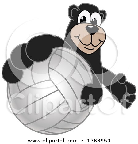 Clipart of a Black Bear School Mascot Character Grabbing a Volleyball - Royalty Free Vector Illustration by Mascot Junction