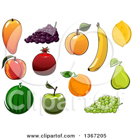 Clipart of Fruits - Royalty Free Vector Illustration by Vector Tradition SM
