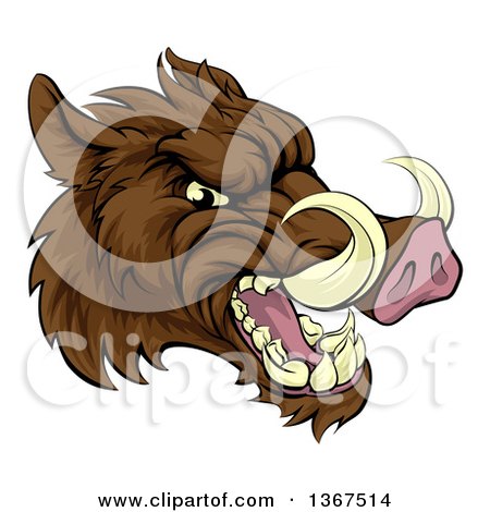 Clipart of a Cartoon Tough Brown Razorback Boar Mascot Head Facing Right - Royalty Free Vector Illustration by AtStockIllustration