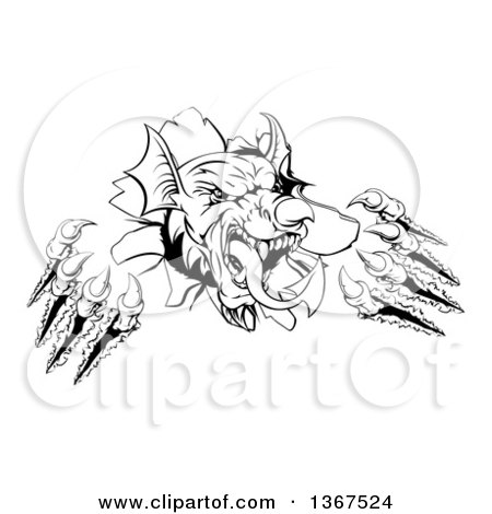 Clipart of a Black and White Fierce Welsh Dragon Mascot Head Slashing Through a Wall - Royalty Free Vector Illustration by AtStockIllustration