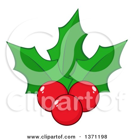 Clipart of Christmas Holly Leaves and Berries - Royalty Free Vector Illustration by Hit Toon