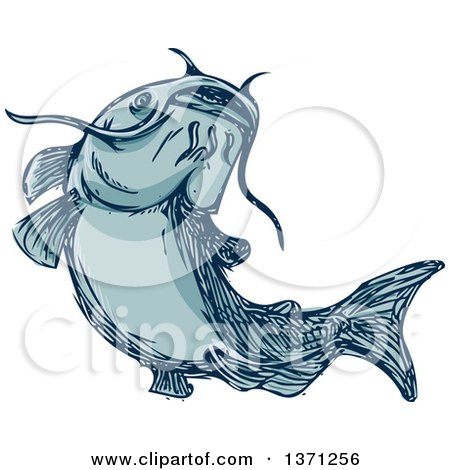 Clipart of a Sketched Blue Catfish - Royalty Free Vector Illustration by patrimonio
