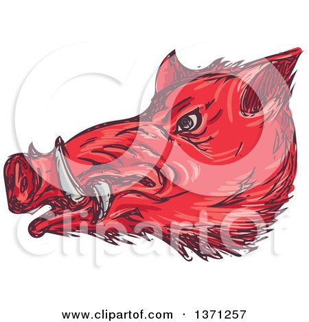 Clipart of a Sketched Red Wild Boar Head - Royalty Free Vector Illustration by patrimonio