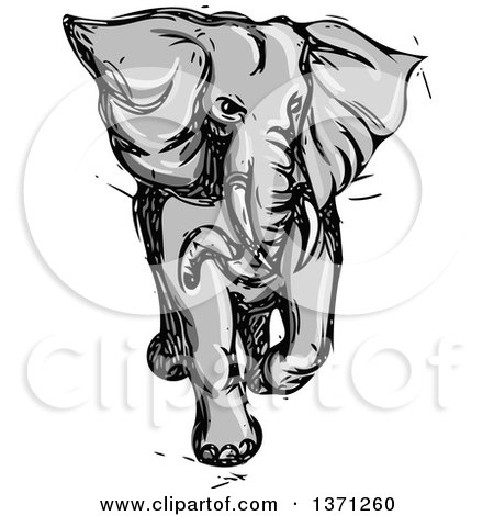 Clipart of a Grayscale Sketched Angry Elephant Running - Royalty Free Vector Illustration by patrimonio
