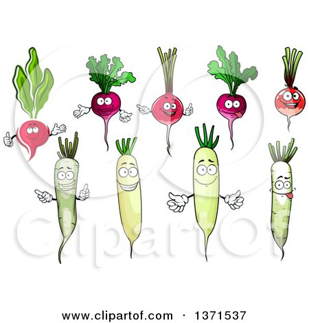 Clipart of Happy Daikon and Radish Characters - Royalty Free Vector Illustration by Vector Tradition SM