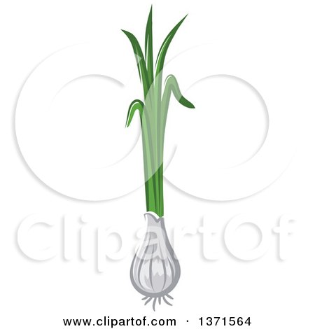 Clipart of a Cartoon Green Onion - Royalty Free Vector Illustration by Vector Tradition SM