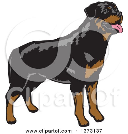 Clipart of a Standing Alert Rottweiler Dog - Royalty Free Vector Illustration by David Rey