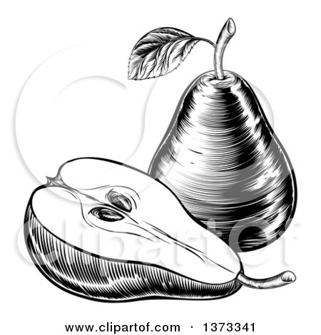 Clipart of a Black and White Vintage Woodcut or Engraved Pear and Half - Royalty Free Vector Illustration by AtStockIllustration
