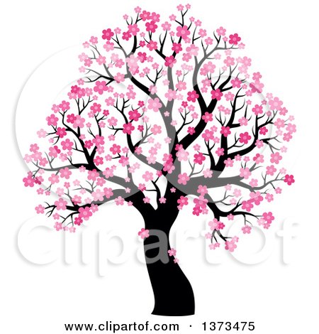 Clipart of a Silhouetted Tree with Pink Spring Blossoms - Royalty Free Vector Illustration by visekart