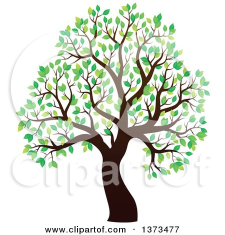 Clipart of a Silhouetted Tree with Green Leaves - Royalty Free Vector Illustration by visekart