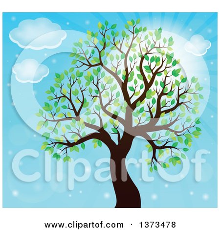 Clipart of a Silhouetted Tree with Green Leaves Against Blue Sky - Royalty Free Vector Illustration by visekart