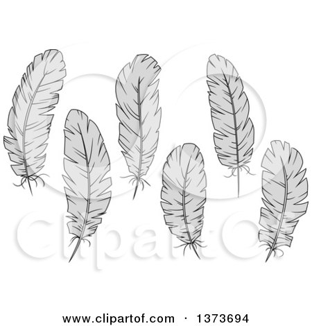 Clipart of Grayscale Feathers - Royalty Free Vector Illustration by Vector Tradition SM