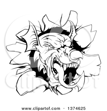 Clipart of a Fierce Black and White Welsh Dragon Mascot Head Breaking Through a Wall - Royalty Free Vector Illustration by AtStockIllustration