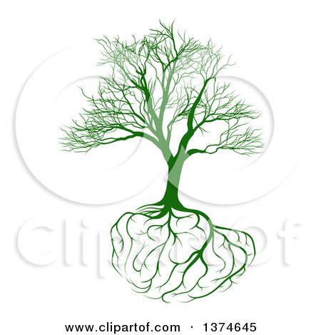 Clipart of a Green Bare Tree with Brain Roots - Royalty Free Vector Illustration by AtStockIllustration