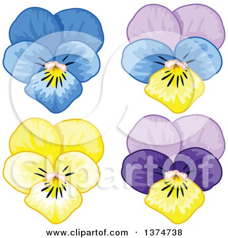Clipart of Pansy Flowers - Royalty Free Vector Illustration by Pushkin