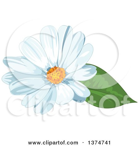 Clipart of a White Daisy Flower - Royalty Free Vector Illustration by Pushkin