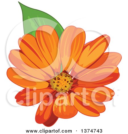 Clipart of an Orange Daisy Flower - Royalty Free Vector Illustration by Pushkin
