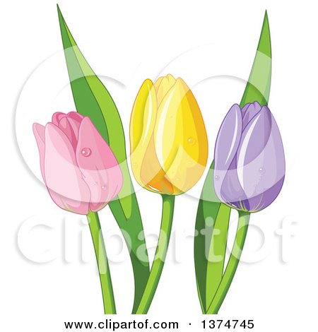 Clipart of Pink, Yellow and Purple Tulip Flowers - Royalty Free Vector Illustration by Pushkin